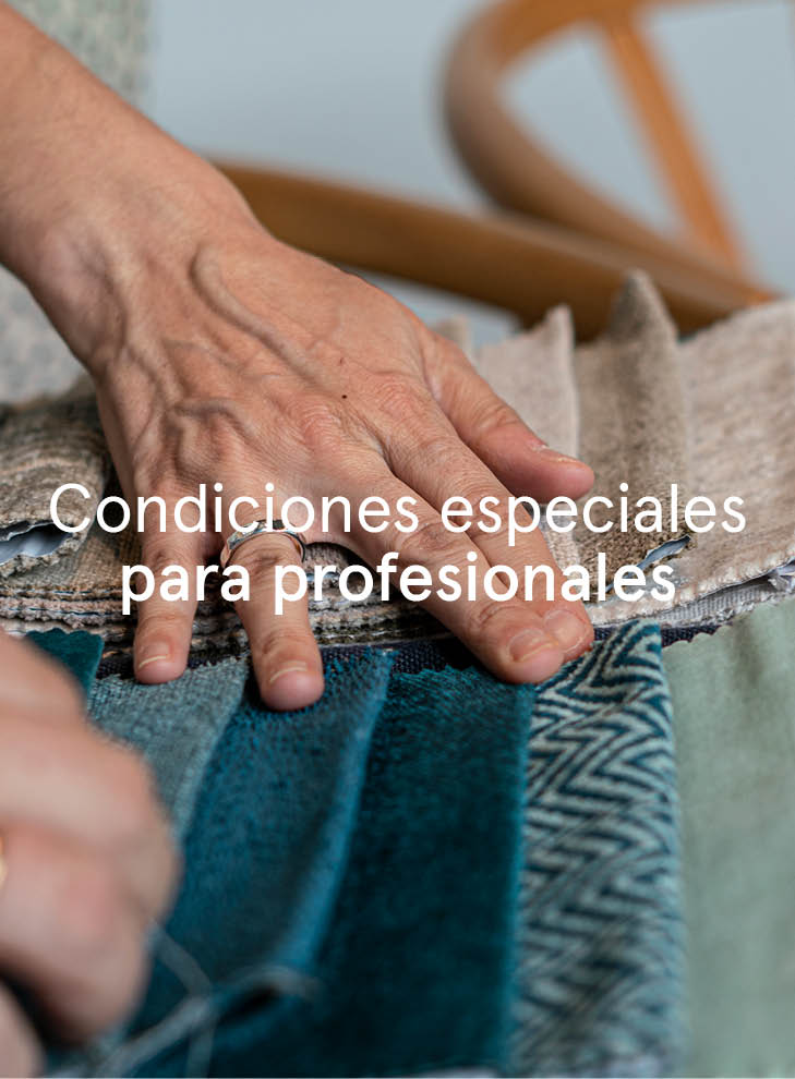 condiciones especiales para profesionales